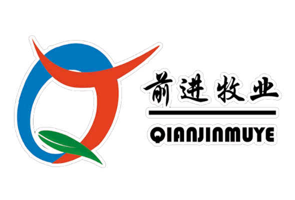 要讓長(zhǎng)期主義成為一種信仰